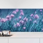 Preview: Küchenrückwand Folie Frühlingszwiebel Blüte Hauptbild