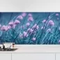 Preview: Küchenrückwand Folie Frühlingszwiebel Blüte Hauptbild