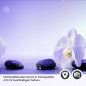 Preview: Küchenrückwand Folie Orchideen in Harmonie Detailbild 2