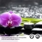 Preview: Küchenrückwand Folie SPA Orchideen Detailbild 2