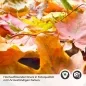Preview: Küchenrückwand Folie Herbstblätter Detailbild 2