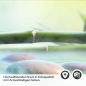 Preview: Küchenrückwand Folie Zen Garten Detailbild 2