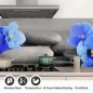 Preview: Küchenrückwand Folie blaue Blumen Zen SPA Steine Detailbild 1