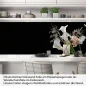 Preview: Küchenrückwand Folie elegante Calla-Blüten Artikelbild 1