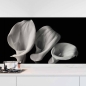 Preview: Küchenrückwand Folie monochrome Blumen - Stilvolle Calla-Lilien Hauptbild