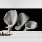 Preview: Küchenrückwand Folie monochrome Blumen - Stilvolle Calla-Lilien Hauptbild