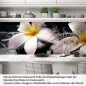 Preview: Küchenrückwand Folie Plumeria-Blüten Artikelbild 1