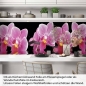 Preview: Küchenrückwand Folie Orchideen Pink - Pink auf Schwarz Artikelbild 1