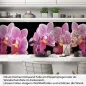 Preview: Küchenrückwand Folie Orchideen Pink - Pink auf Schwarz Artikelbild 1