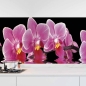 Preview: Küchenrückwand Folie Orchideen Pink - Pink auf Schwarz Hauptbild