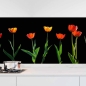 Preview: Küchenrückwand Folie rote Tulpen Hauptbild