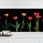 Preview: Küchenrückwand Folie rote Tulpen Hauptbild