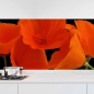 Preview: Küchenrückwand Folie orange Mohnblumen Hauptbild