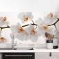 Preview: Küchenrückwand Folie Weiße Orchideen – Harmonie für Ihre Küche Hauptbild