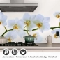 Preview: Küchenrückwand Folie Weiße Blüten – Perfekt für moderne Küchen Detailbild 1
