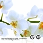 Preview: Küchenrückwand Folie Weiße Blüten – Perfekt für moderne Küchen Detailbild 2