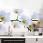 Preview: Küchenrückwand Folie Weiße Blüten – Perfekt für moderne Küchen Hauptbild