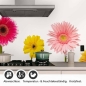 Preview: Küchenrückwand Folie Blumentraum - Fröhliche Gerbera für Ihre Küche Detailbild 1