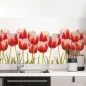 Preview: Küchenrückwand Folie Tulpenmotiv Hauptbild