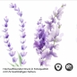 Preview: Küchenrückwand Folie Aquarell Lavendel Detailbild 2