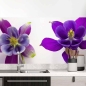 Preview: Küchenrückwand Folie farbige Blüten Hauptbild