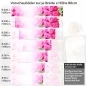 Preview: Küchenrückwand Folie pinke Rosen Höhe 80cm