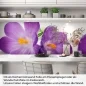 Preview: Küchenrückwand Folie violette Krokusse Artikelbild 1