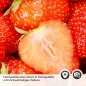 Preview: Küchenrückwand Folie Sommerliche Erdbeeren - Fruchtige Frische Detailbild 2