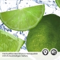Preview: Küchenrückwand Folie Limone Detailbild 2