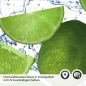 Preview: Küchenrückwand Folie Limone Detailbild 2