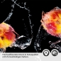 Preview: Küchenrückwand Folie Äpfel Splash Detailbild 2