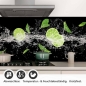 Preview: Küchenrückwand Folie Zitrusfrüchte Splash Detailbild 1