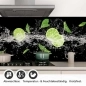 Preview: Küchenrückwand Folie Zitrusfrüchte Splash Detailbild 1