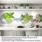 Preview: Küchenrückwand Folie Limetten Splash Artikelbild 1