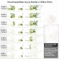 Preview: Küchenrückwand Folie spritzige Limetten Variantenauswahl Vorschaubild Höhe 51cm
