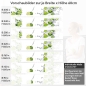 Preview: Küchenrückwand Folie spritzige Limetten Variantenauswahl Vorschaubild  Höhe 60cm