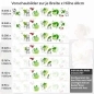 Preview: Küchenrückwand Folie spritzige Limetten & Kirschen Variantenauswahl Vorschaubild Höhe 60cm