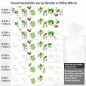 Preview: Küchenrückwand Folie spritzige Limetten & Kirschen Variantenauswahl Vorschaubild Höhe 80cm