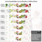 Preview: Küchenrückwand Folie fruchtiger Mix Variantenauswahl Vorschaubild  Höhe 51cm