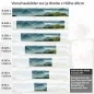 Preview: Küchenrückwand Folie Nebel in der Dämmerung Variantenauswahl Vorschaubild Höhe 60cm