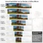 Preview: Küchenrückwand Folie Weide Variantenauswahl Vorschaubild Höhe 80cm