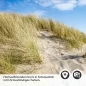 Preview: Küchenrückwand Folie Stranddüne Detailbild 2