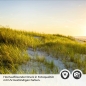 Preview: Küchenrückwand Folie Düne am Meer Detailbild 2