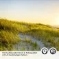 Preview: Küchenrückwand Folie Düne am Meer Detailbild 2