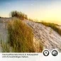Preview: Küchenrückwand Folie Dünentraum Detailbild 2