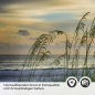 Preview: Küchenrückwand Folie Dünenlandschaft & Strand Flora Detailbild 2