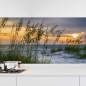Preview: Küchenrückwand Folie Dünenlandschaft & Strand Flora Hauptbild 1