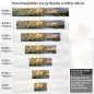 Preview: Küchenrückwand Folie Dünenlandschaft & Strand Flora Höhe 60cm