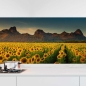 Preview: Küchenrückwand Folie Sonnenblumen Feld Hauptbild 1