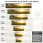 Preview: Küchenrückwand Folie Sonnenblumenallee Höhe 80cm